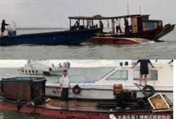 杭州手摇船爆料事件视频,揭秘水上交通背后的故事
