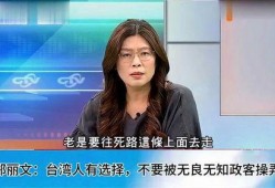 台湾郑丽文爆料视频,揭秘背后惊人真相