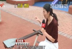 龙华肖女士最新爆料,揭秘某事件背后惊人真相
