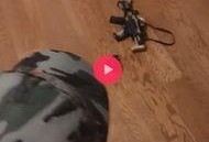 抖音吃鸡爆料视频,揭秘热门游戏幕后秘密