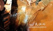 生死大营救在线观看