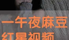 午夜免费观看视频在线,免费观看视频的奇幻之旅