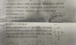 白露夺宝最新爆料消息是真的吗,揭秘真相，是真是假？