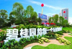 六安碧桂园爆料案件最新,揭开豪宅背后的惊人真相！”