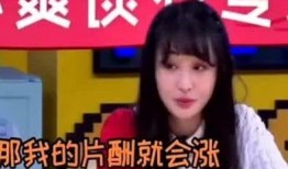 有明星爆料娱乐圈片酬,明星爆料背后的真相与争议