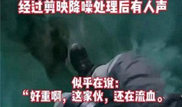 成都卧底爆料事件视频播放,揭秘事件背后惊人真相