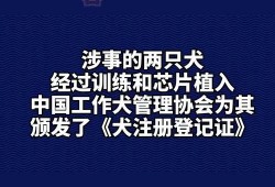 如何爆料社会新闻事件,如何有效爆料，助力正义发声