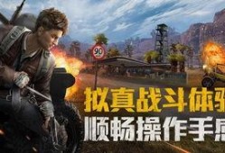 和平精英爆料辟谣视频,揭秘爆料真相，官方辟谣视频深度解析