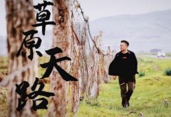 第二路雨在线观看,沉浸式体验，跟随剧情共赴雨中奇遇