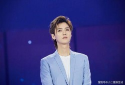 张晓磊爆料衣哥视频播放,揭秘网络红人幕后真相