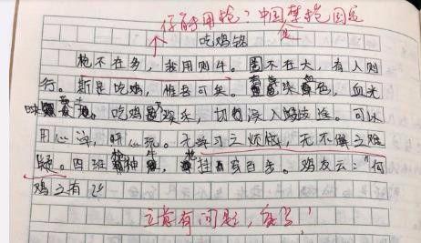 娱乐吃瓜酱仿写,揭秘明星背后的秘密与八卦